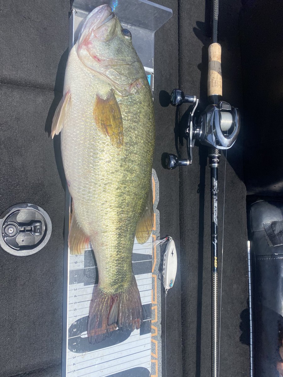 6Yt9jrj3PiBjMxF's tweet image. ええの取れました。👍

#DIVISER 
#スリーバック