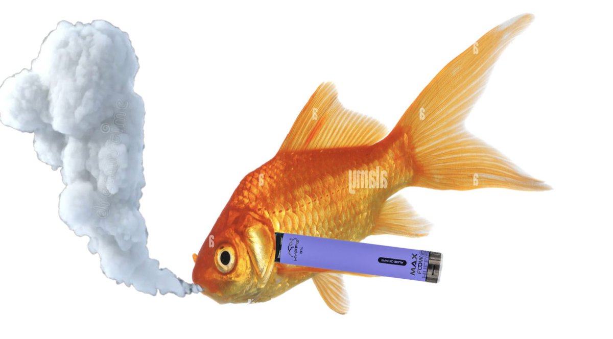 vapefish