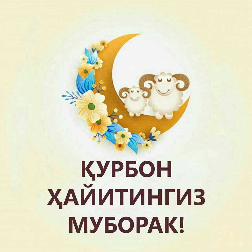 AlisherKhadjaev's tweet photo. https://t.co/9RbahNRrsa