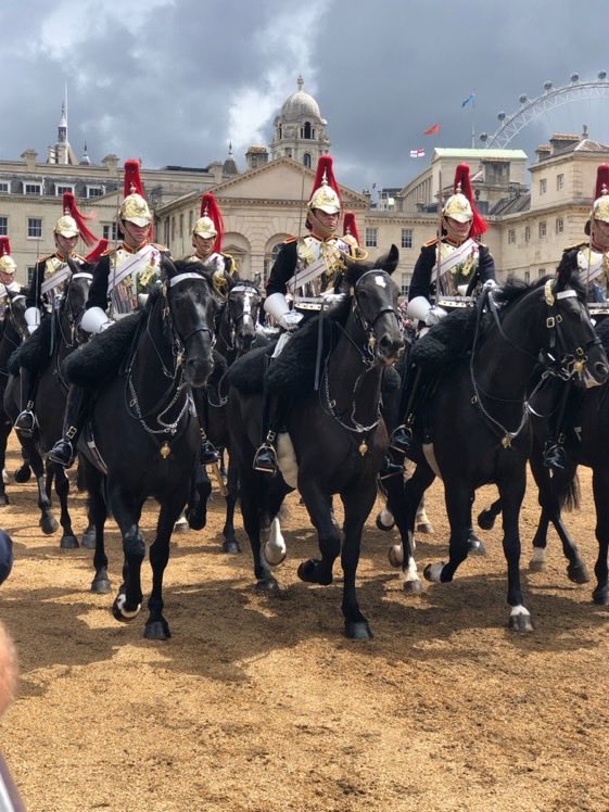 PVPB84's tweet image. “Still more majestic shalt thou rise.” 🇬🇧

#TroopingTheColor