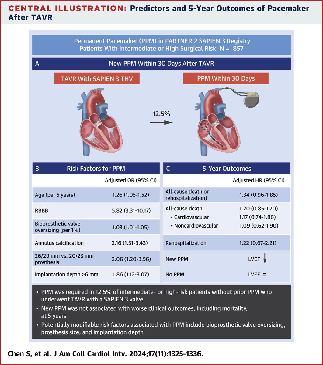 What are the rates of a permanent pacemaker implantation, the predictors of needing a PPM, and long-term clinical outcomes of the third-generation balloon-expandable SAPIEN 3 transcatheter heart valve?

Get the answer here: bit.ly/4cCjT9h #JACCINT