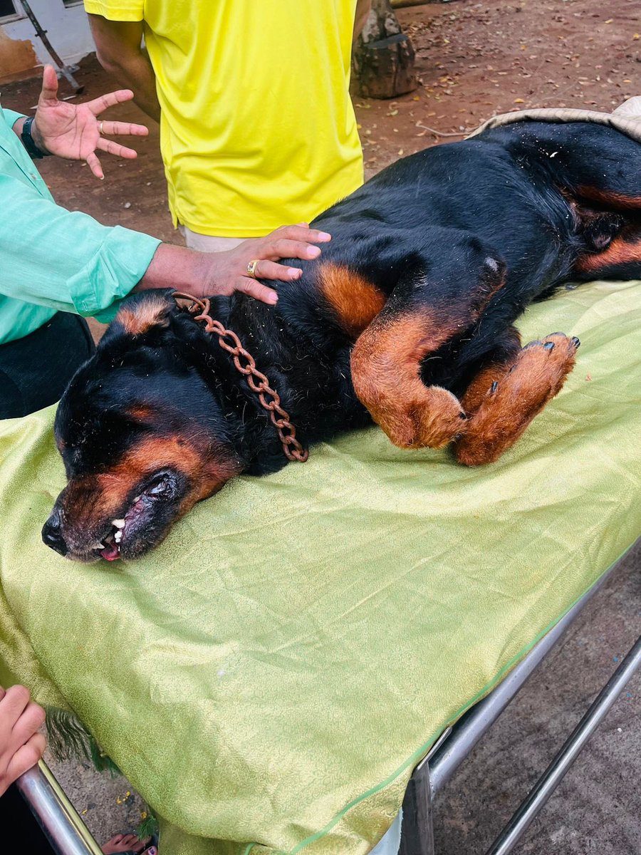 Guhayavarman tweet media