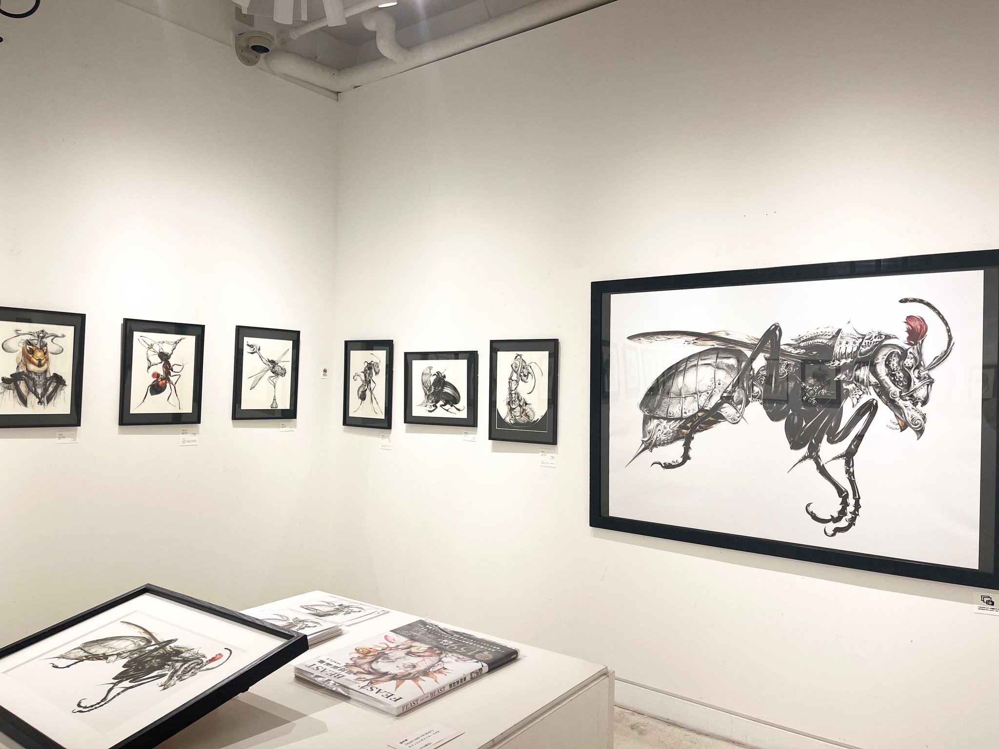 猫将軍　原画 猫将軍 solo exhibition “Flourish” - PAGIC Gallery