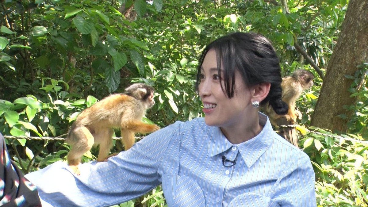 BS10_TEN's tweet image. ／
今日夕方5時は…
あこがれの世界クルーズ紀行⛴
＼

#雛形あきこ さん＆ #天野浩成 さんご夫婦が行く
南国クルーズ旅のスペシャル版🌴

絶景🌊や豪華な食事🥄など
船旅でしか味わえない魅力を
たっぷりとお届けしま～す🤭💓

▼視聴方法はコチラ💁
bsjapanext.co.jp/howto/