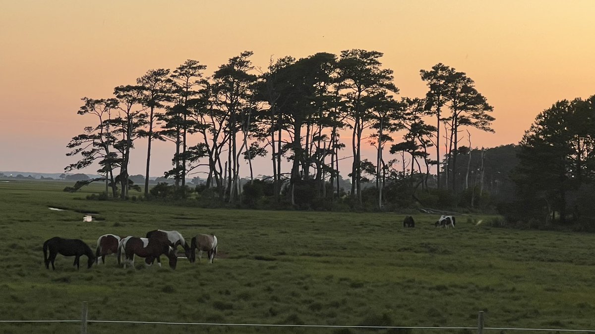 Melaney Sanchez tweet media