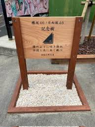 おはよ …遂に初の櫻坂 欅の頃は行ってたけど そこからけやき、日向坂と