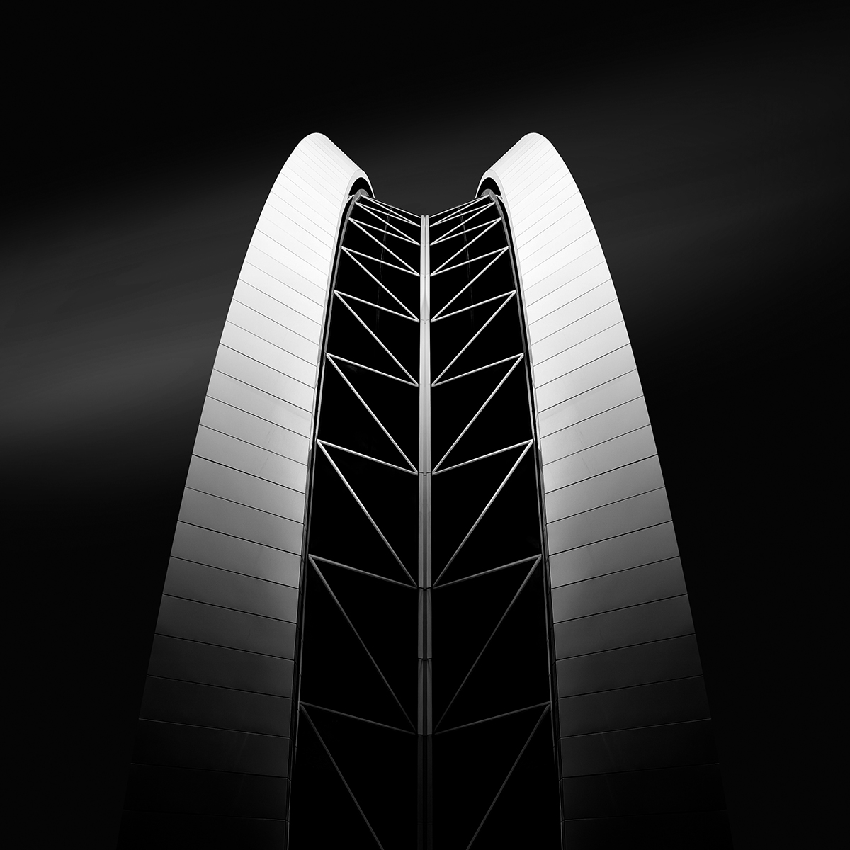 WaheedAkhtarNet's tweet image. Gm 🖤🤍