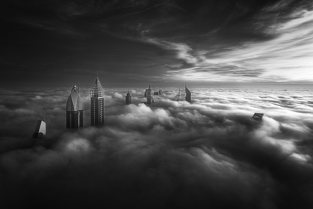 WaheedAkhtarNet's tweet image. Gm 🖤🤍