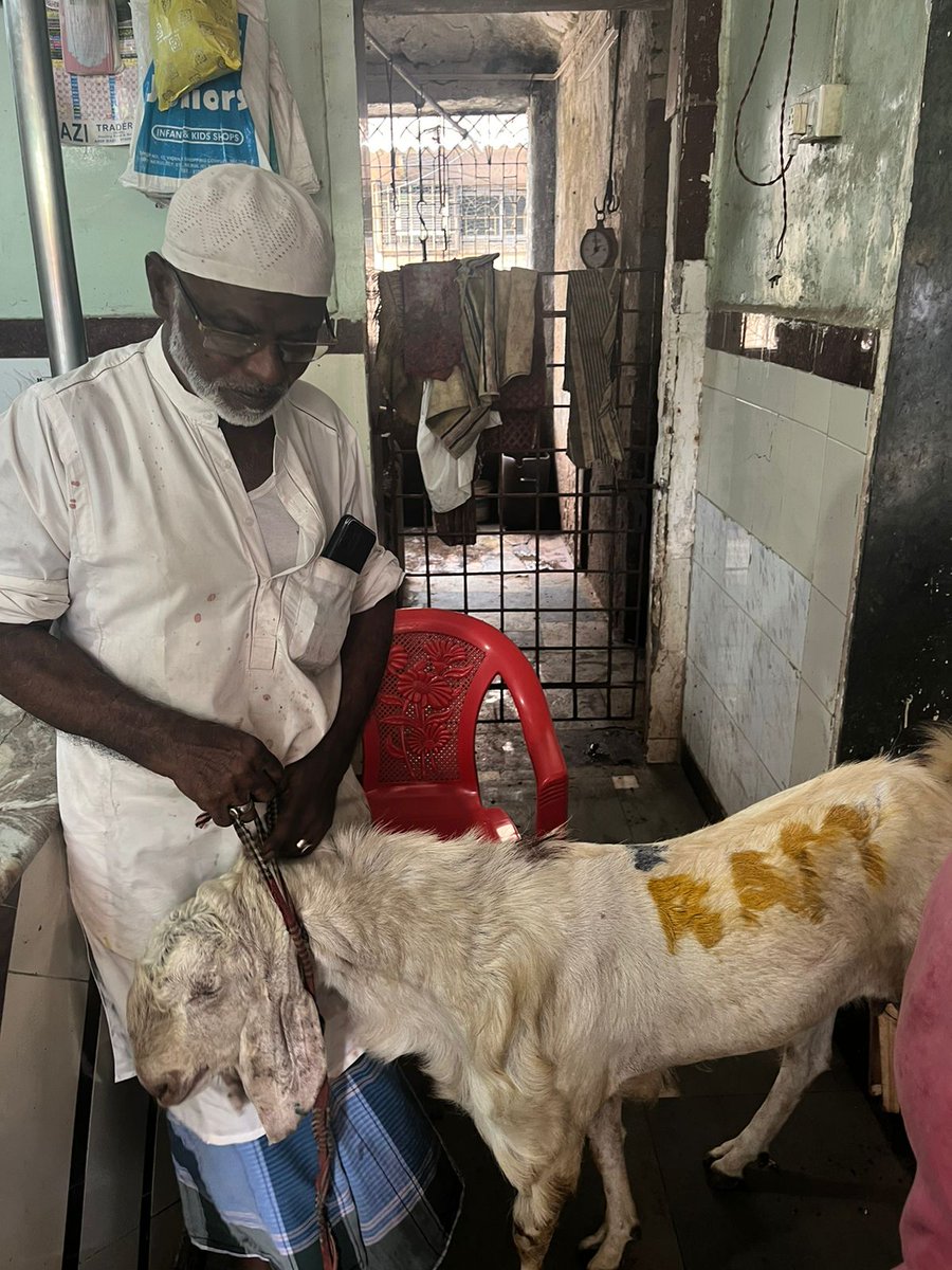 AskAnshul's tweet photo. Mumbai Police have filed a complaint against the owner of meat shop after a video showing a goat with the name 'RAM' written on its skin in yellow color went viral ahead of Bakrid.

Preliminary investigation revealed that the goat was kept at Good Luck Mutton Shop in Navi Mumbai. https://t.co/4FdtWfFZ7o