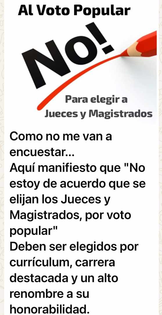 1985drAlessa's tweet image. #PoderJudicialContrapesoNacional
#Meritocracia
#CarreraJudicialGarantizaIdoneidad