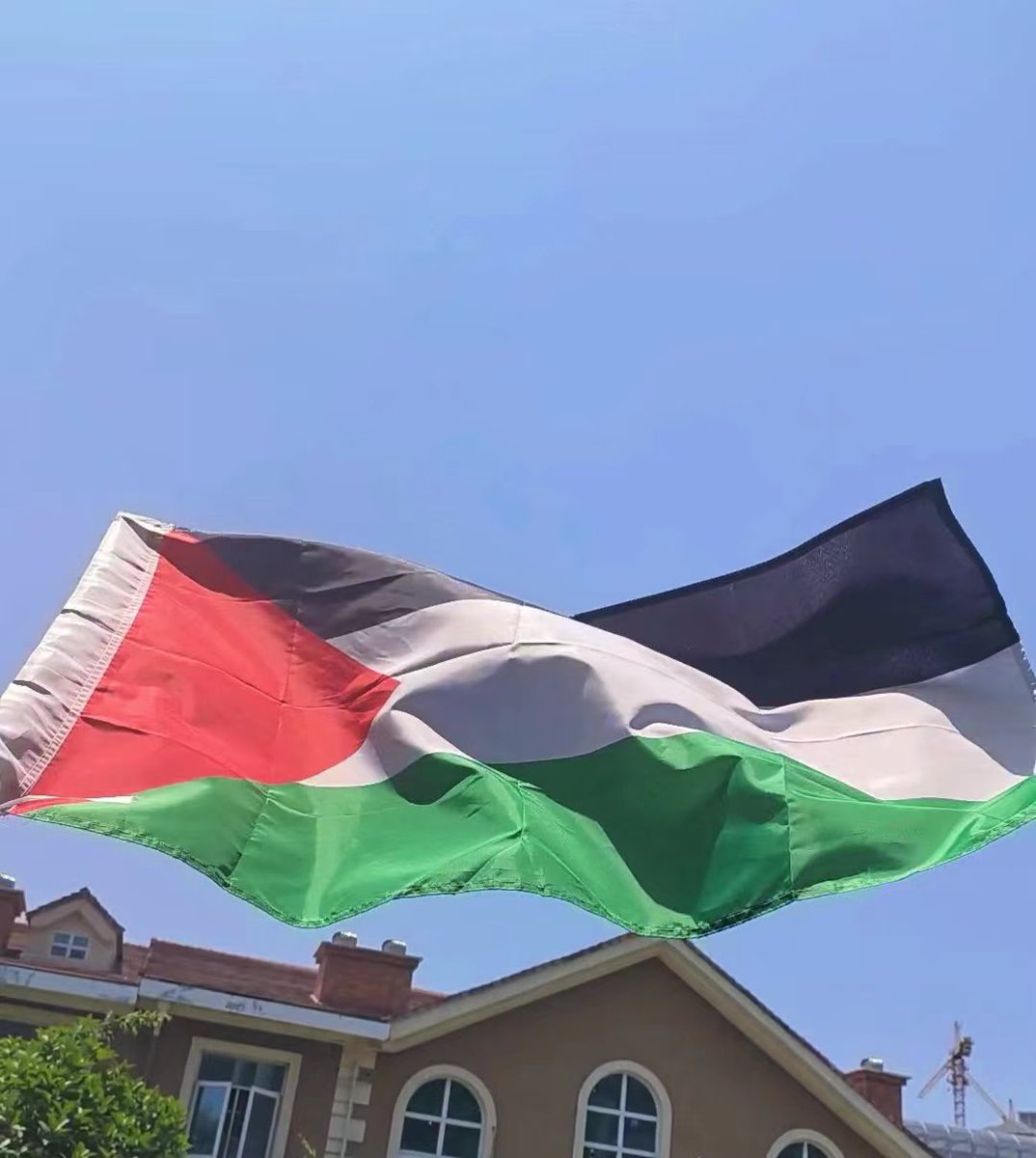 checcc4's tweet photo. 🇵🇸❤️🖤🤍💚 #Palestine #gaza #peace #FURRY https://t.co/xKCfho5wJ2