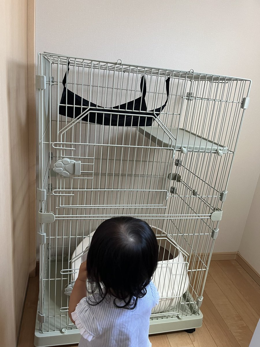 組み立て完了！家族が増えます♡
1階がほぼトイレになっちゃう😂😂 小さいトイレを中には置いた方がよさそう。。。