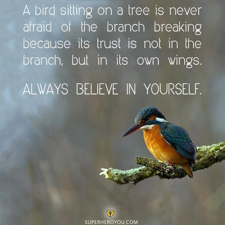 Always believe in yourself...  
#positivity