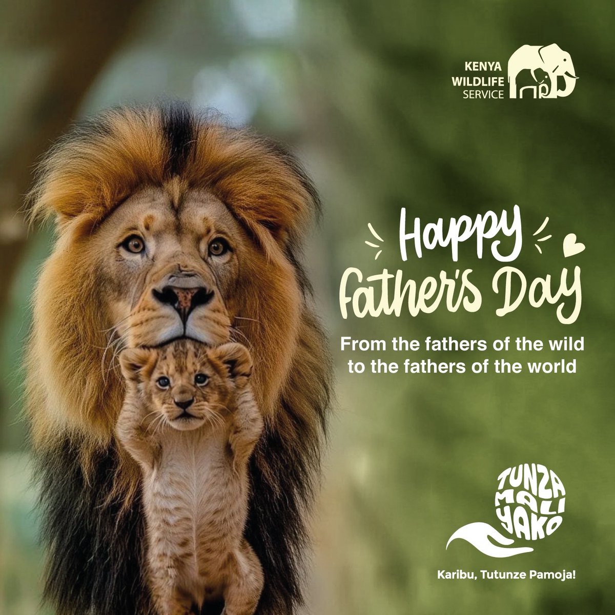 Celebrate Dad with nature’s beauty this Father's Day! 🏞️ From wildlife thrills to peaceful landscapes, our parks have it all. #FathersDay #FamilyAdventure #ExploreNature