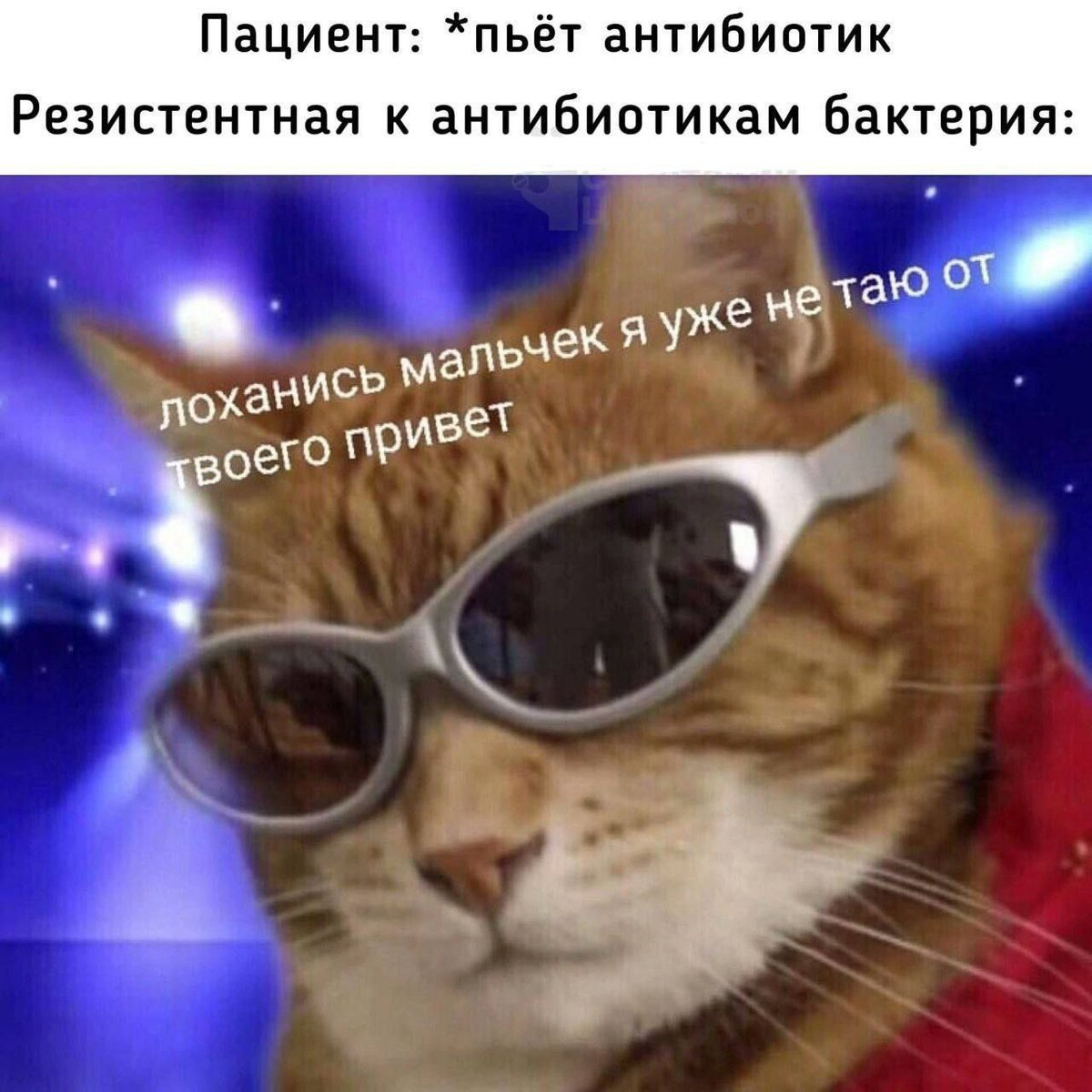 Graypfruit's tweet photo. https://t.co/EvIBFTQDXs