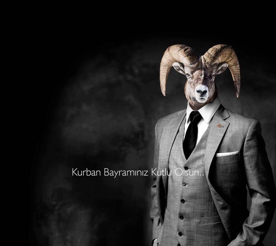 Muhammed habip Akyıldız (@akyhabip) on Twitter photo 