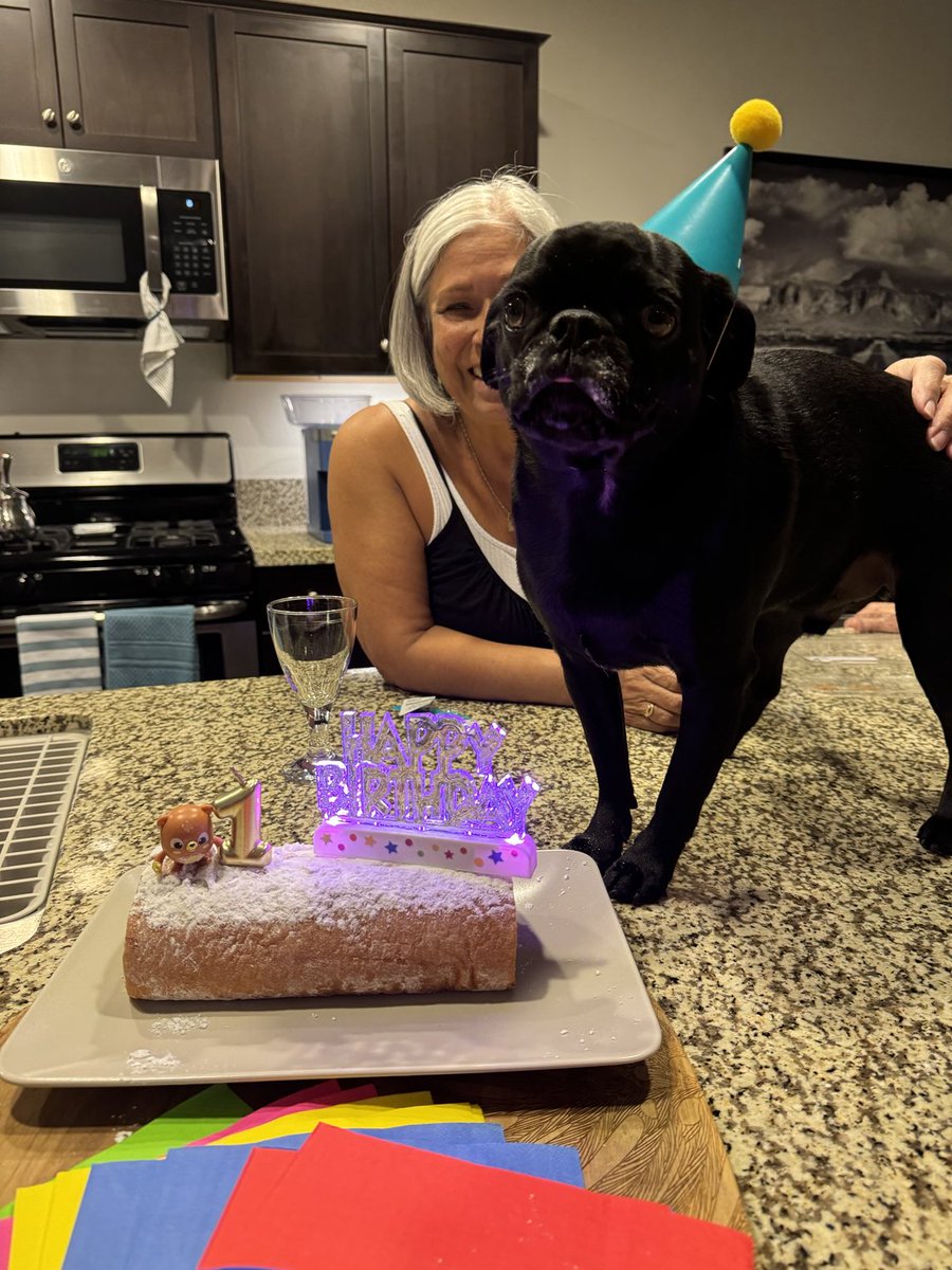 CocothePug2 tweet media