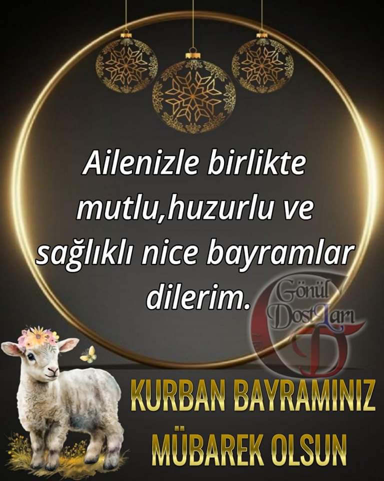 Cihan (@cihan95036270) on Twitter photo 