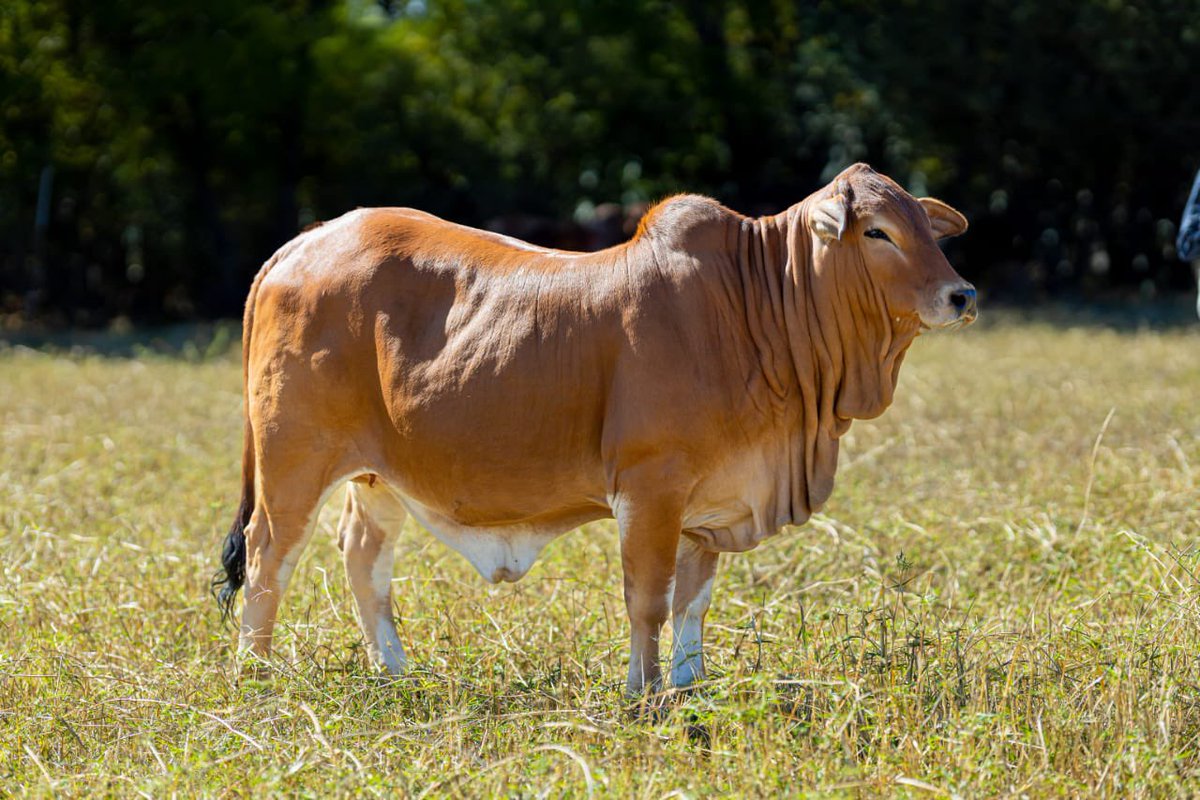 Klipranch tweet media