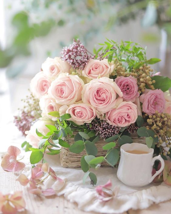 Susannah J. Bell 🌺 tweet media