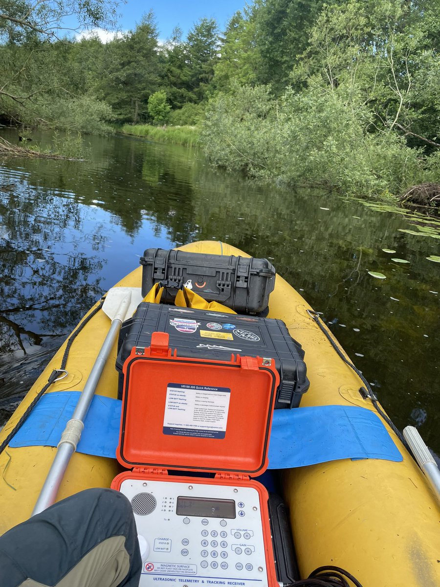 Sam Shry tweet media