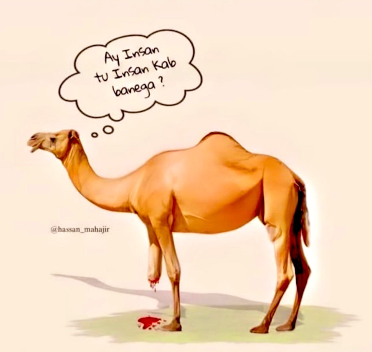 Aik Bezubaan Janwar ke sath itna zulm ? Aur kis had tk girre ga Insaan ! 🥺🤧