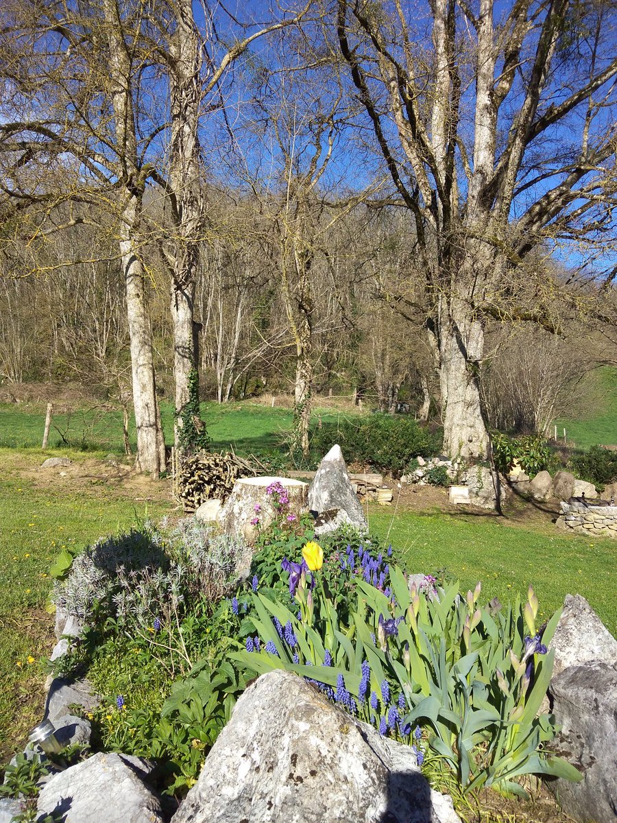 vegy🍎power Ⓥ (@vegypower) on Twitter photo Bloom where you are planted.
(Fleuris là où tu es plantée.)
- French proverb
(Especially for <a href="/AwakeningTrue/">AwakeningYourTrueSelf</a>)
photo: somewhere in France Bloom where you are planted.
(Fleuris là où tu es plantée.)
- French proverb
(Especially for <a href="/AwakeningTrue/">AwakeningYourTrueSelf</a>)
photo: somewhere in France