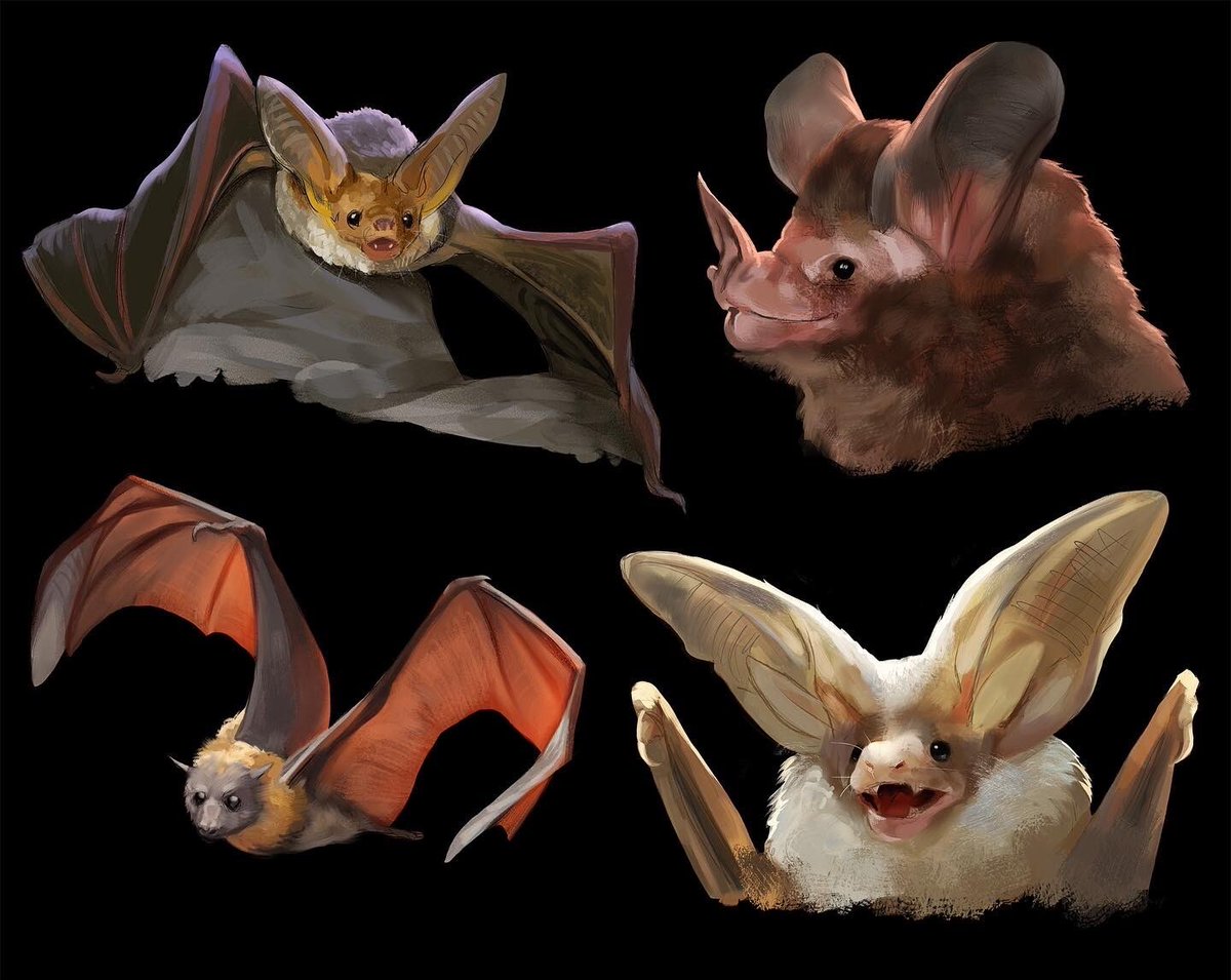 Bats! 🦇