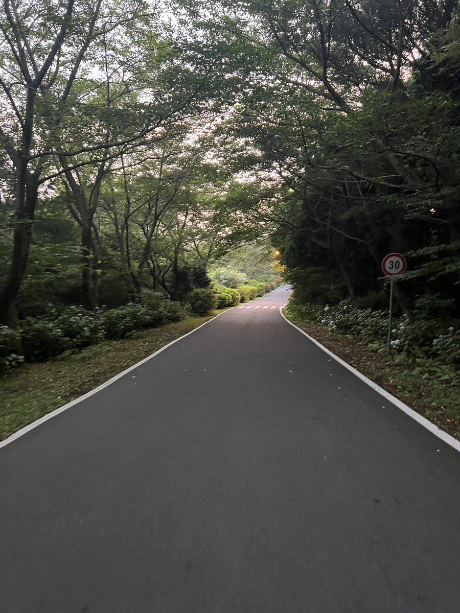 eunnnlee's tweet photo. I wanna RUN!!!😭😭😭 (no running for 8 days due to #shinsplint )
신스프린트로 달리기 못한지 8일째… 답답한 마음에 새러닝화랑 고글이랑 레글렛이랑 모자를 샀…🤭
#InjuryRecovery #Running #Fitness https://t.co/YODXjlU1lf