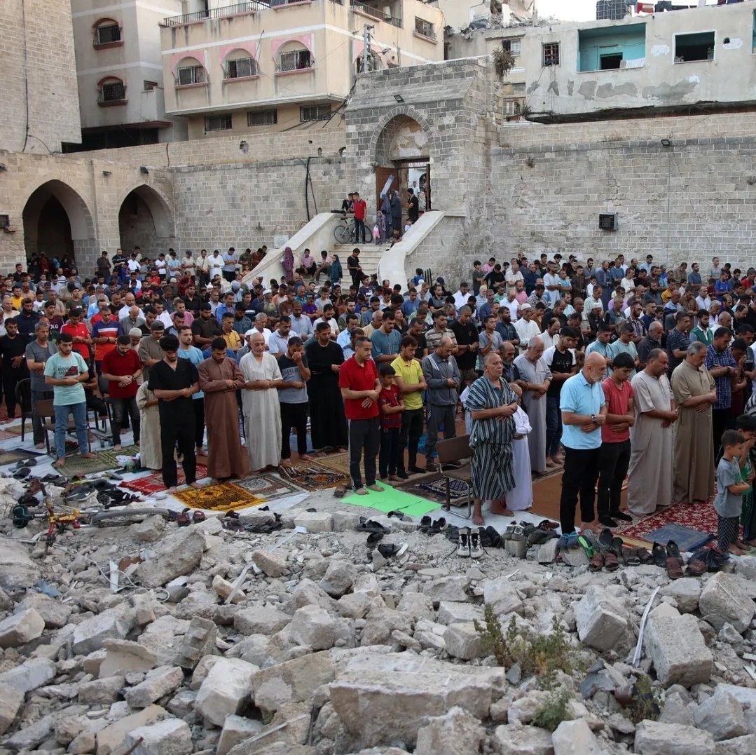 عیدِ قرباں پر قربانی تو اہلِ غزہ نے دی ہے!