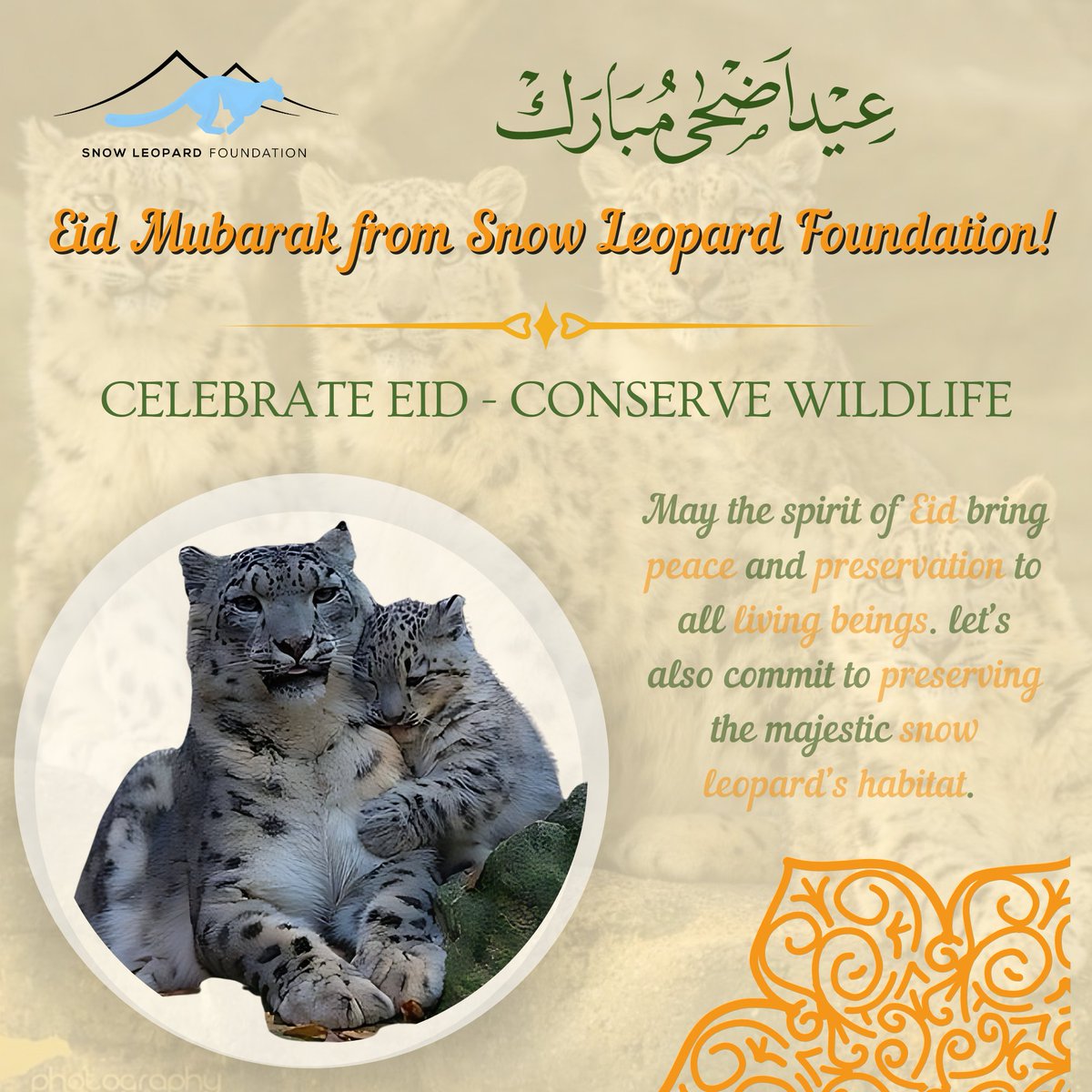 SLF_PAK's tweet photo. Eid Mubarak from the Snow Leopard Foundation! 🌙🐾

Celebrate Eid Ul Adha by supporting our mission to protect endangered snow leopards. May the spirit of Eid bring peace and conservation to all living beings.

#EidMubarak #SnowLeopardFoundation #SaveSnowLeopards #EidUlAdha https://t.co/GW6etpeecE