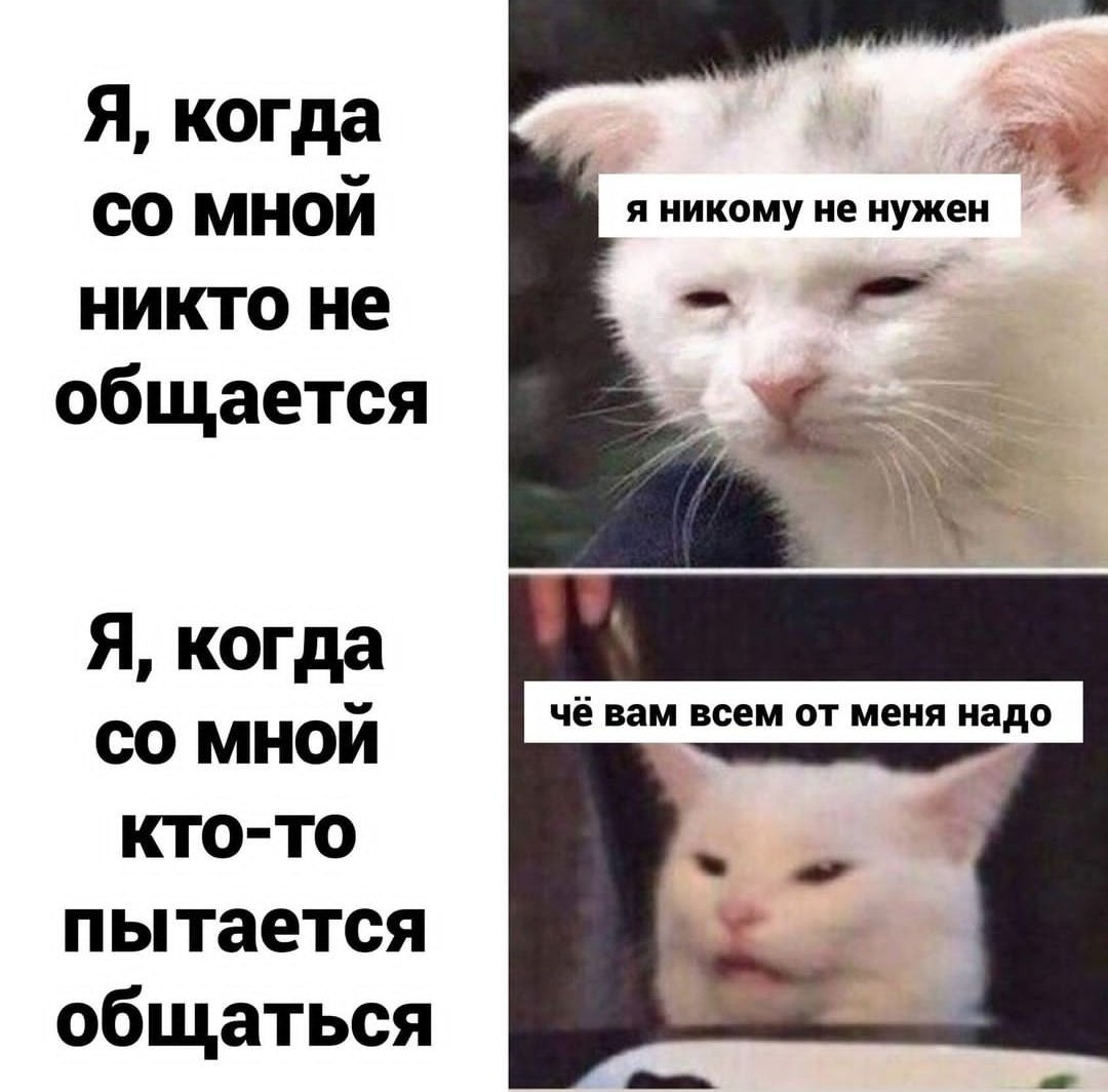 My_Dead_Planet's tweet photo. Ну бывает, бывает 😅 https://t.co/cn6ZozER2W
