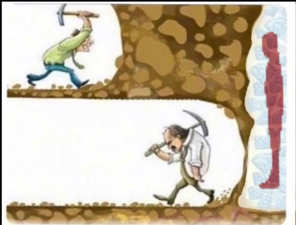 SolanLemon tweet media