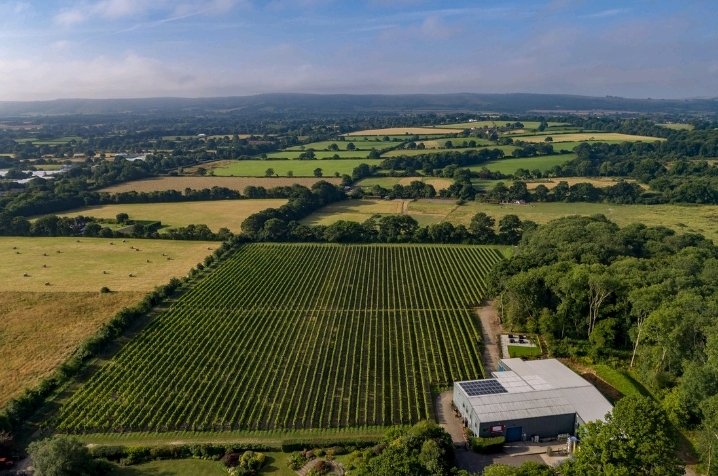 Raising a glass to #EnglishWineWeek 
Our 2021 study highlighted the huge wine-growing potential in the South Downs and the need to balance growth and jobs with conservation of the landscape.  
Here's to all the producers doing exactly that.