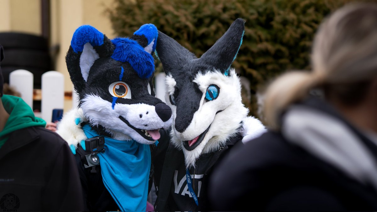 Epik <a href="/vlaaacek/">VlaceK</a> 👍

📸: <a href="/RapidtheHusky/">Rapid</a>