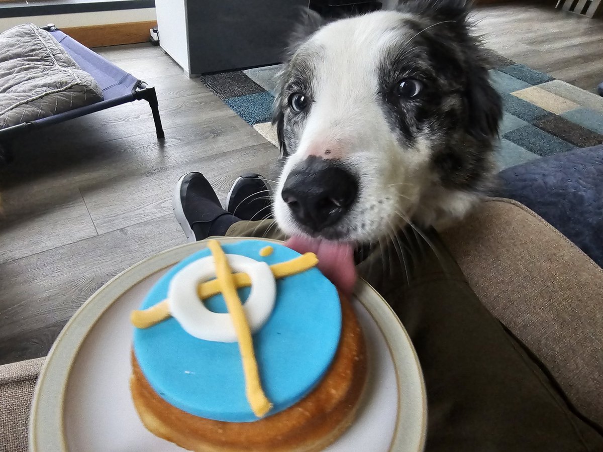 Jasper Collie 🏴󠁧󠁢󠁳󠁣󠁴󠁿 tweet media