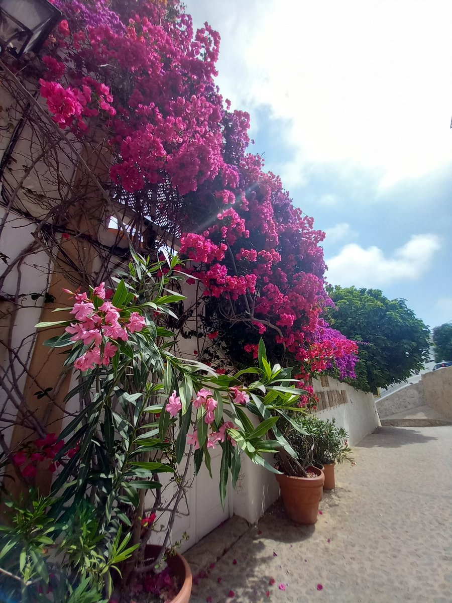 kainaez's tweet photo. Lujo es pasar la mañana del domingo sentada en  la puerta de un lugar  tranquilo, sencillo y bello. https://t.co/mKkmOoxpQk