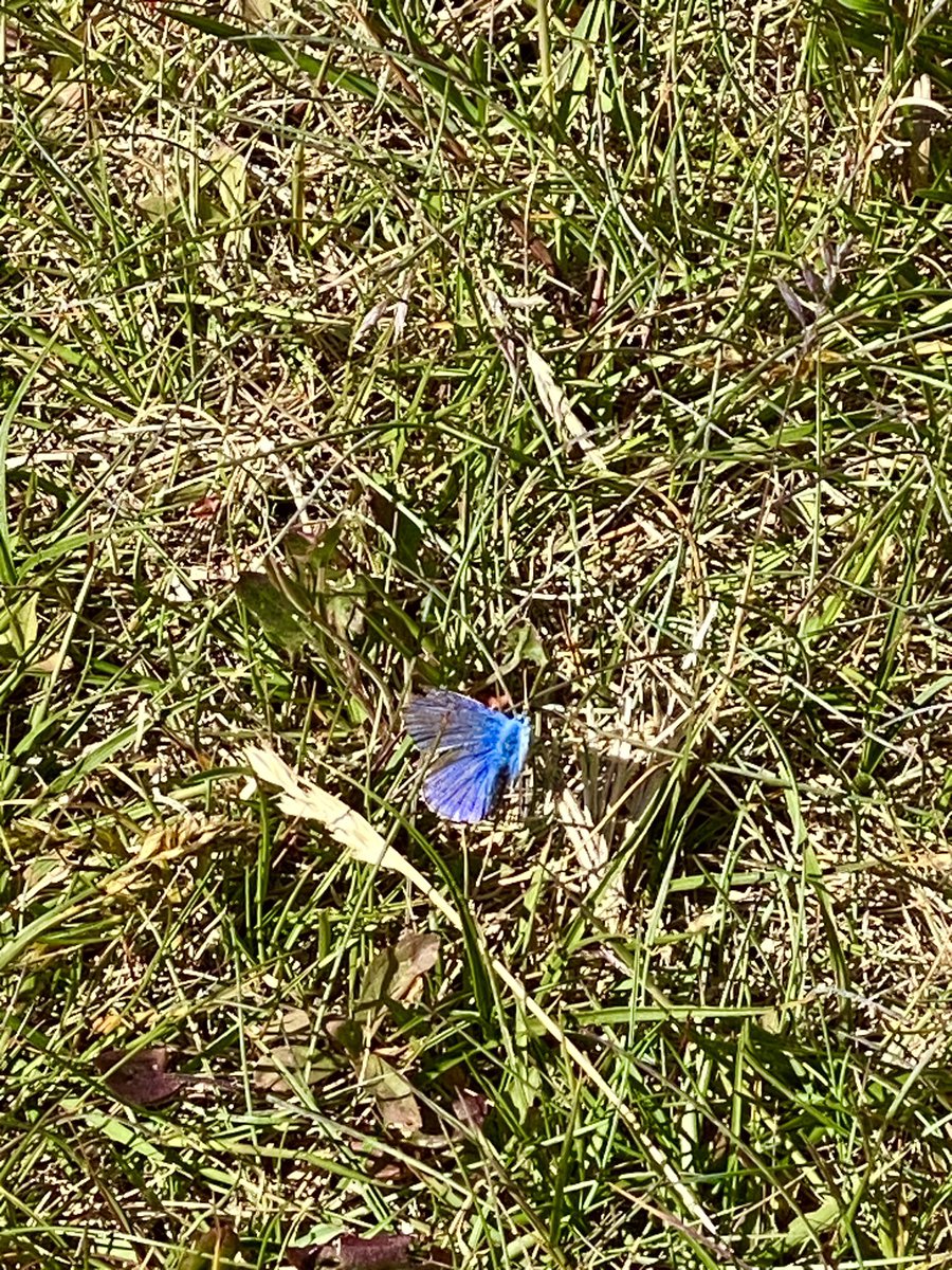Truth_It_Is_'s tweet photo. Timeline cleanse from Lista in Southern Norway. 🇳🇴

Had a lovely walk there earlier this week. 
💙🙏🏻 https://t.co/uSZdK9z4BH
