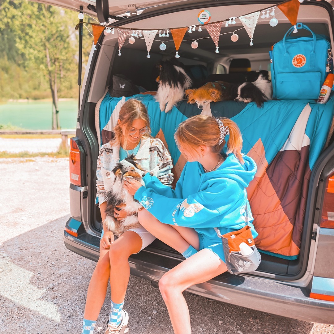 Roadsurfer tweet media