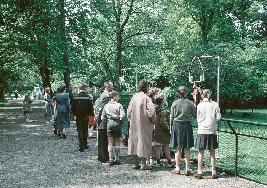 ZowasUtrecht's tweet image. Utrecht op Zondag - Zuilen / Julianapark in 1963 | In 1903 door Copijn ontworpen en in opdracht van Bankier Kol (de Tuin van Kol) aangelegd. Drukte bij de papegaaien #utrechtjarenzestig