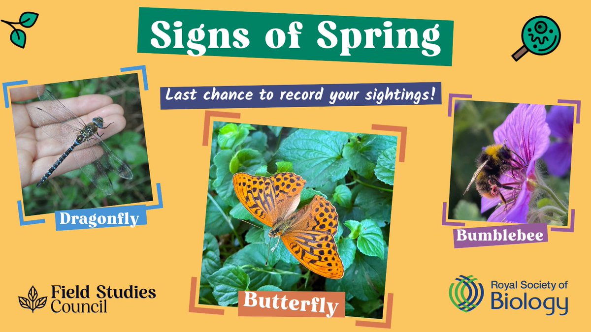 FieldStudiesC's tweet photo. Signs of Spring is ending tomorrow!
Enter any last sightings of our 10 indicator species here: https://t.co/D3xk3HuDEJ
We've really enjoyed working with @royalsocbio on this survey and look forward to the findings being analysed.
#SpringSpotting https://t.co/Y3Ti5gePvY