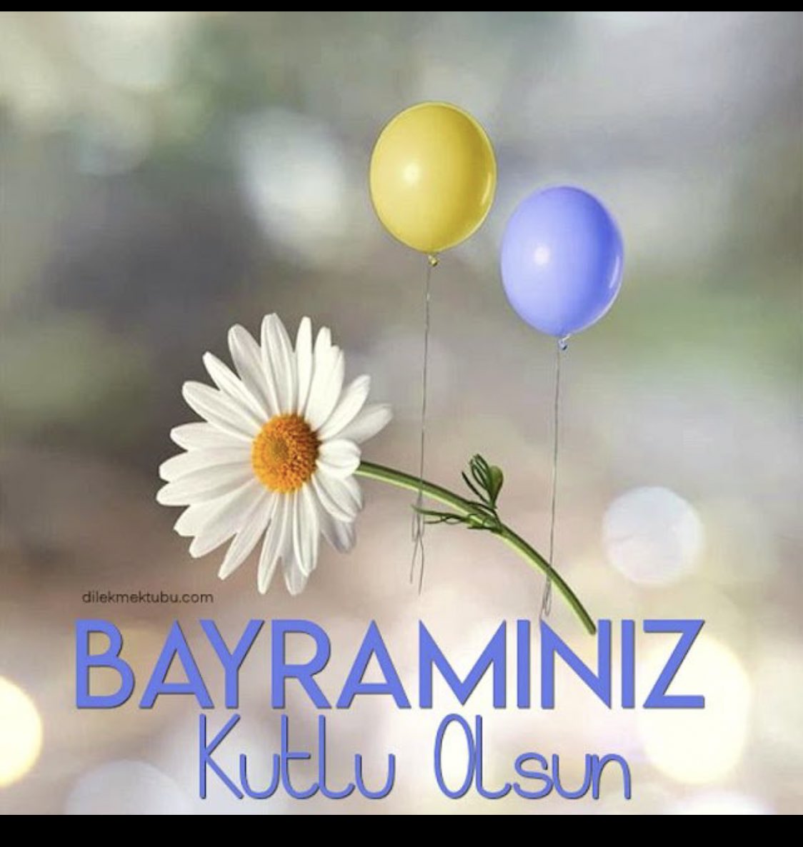 Eaglebase__'s tweet photo. Bütün babaların babalar 
günü, herkesin bayramı kutlu olsun ✨️🍀 https://t.co/wBv7nuvGaR