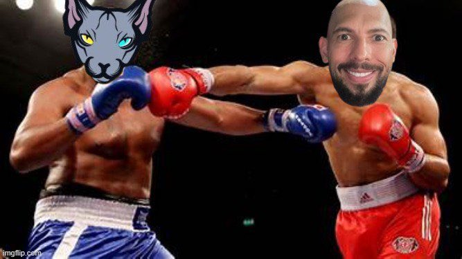 if you wanna see the LIVE of me going to <a href="/Cobratate/">Andrew Tate</a> house to fight him to burn the $MATRIX supply we donate to you, follow me &amp; open notifications <a href="/sphynxdev/">Sphynx</a>