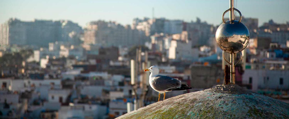 La vision prospective du #Maroc pour le secteur de l'eau est illustrée par les mots d'Ibrahim Jallouli, un jeune chef cuisinier de Tanger : « Pour moi l’eau, c’est la vie. 

S’il n’y avait pas d’eau, il n’y aurait pas de vie. » 

Pour en savoir plus : bit.ly/4bePA8a