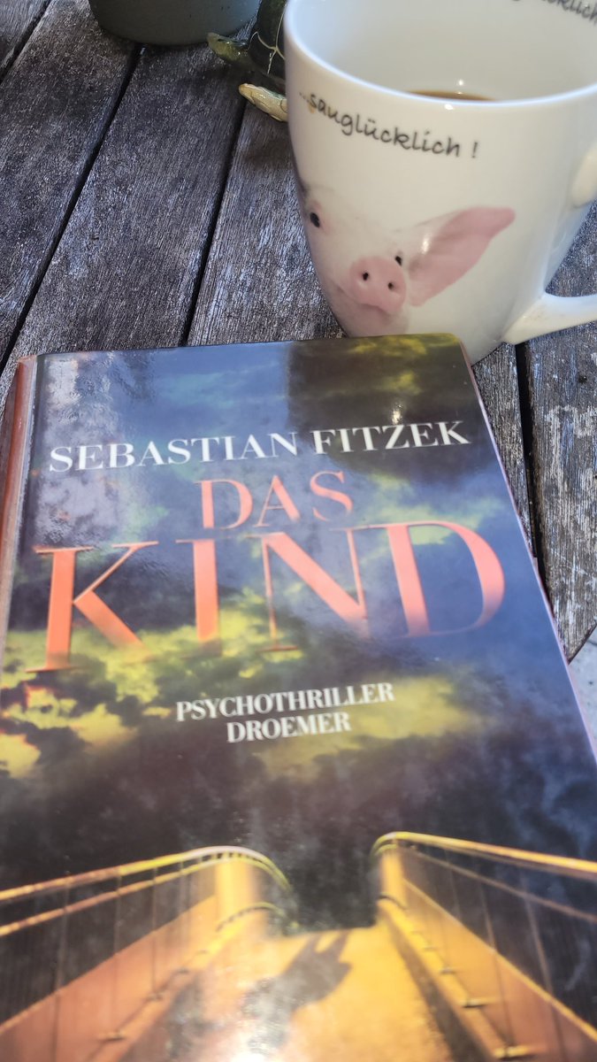 Schmidtmellanie's tweet photo. Solange mein Kind noch schläft bissl lesen #DasKind #SebastianFitzek https://t.co/sesR8ZXxn9