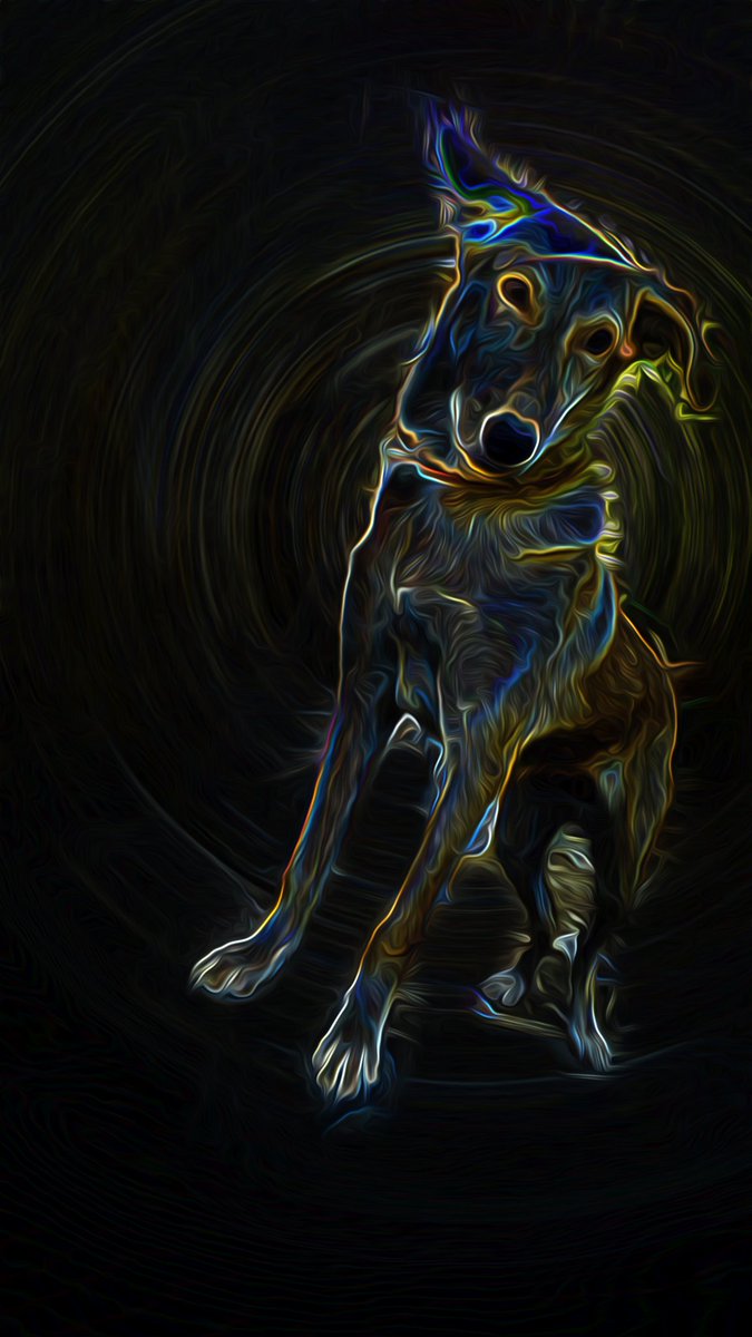 ARMOL_NFT's tweet photo. Dear friends 🌟, I'm thrilled to introduce this new NFT of my adorable dog 🐶! Any animal lover will surely appreciate it. Let's celebrate this moment together 🎉 #NFT #DigitalDog #DigitalArt
«https://t.co/mv5IA2uPZS » https://t.co/vEoMkKd7TA