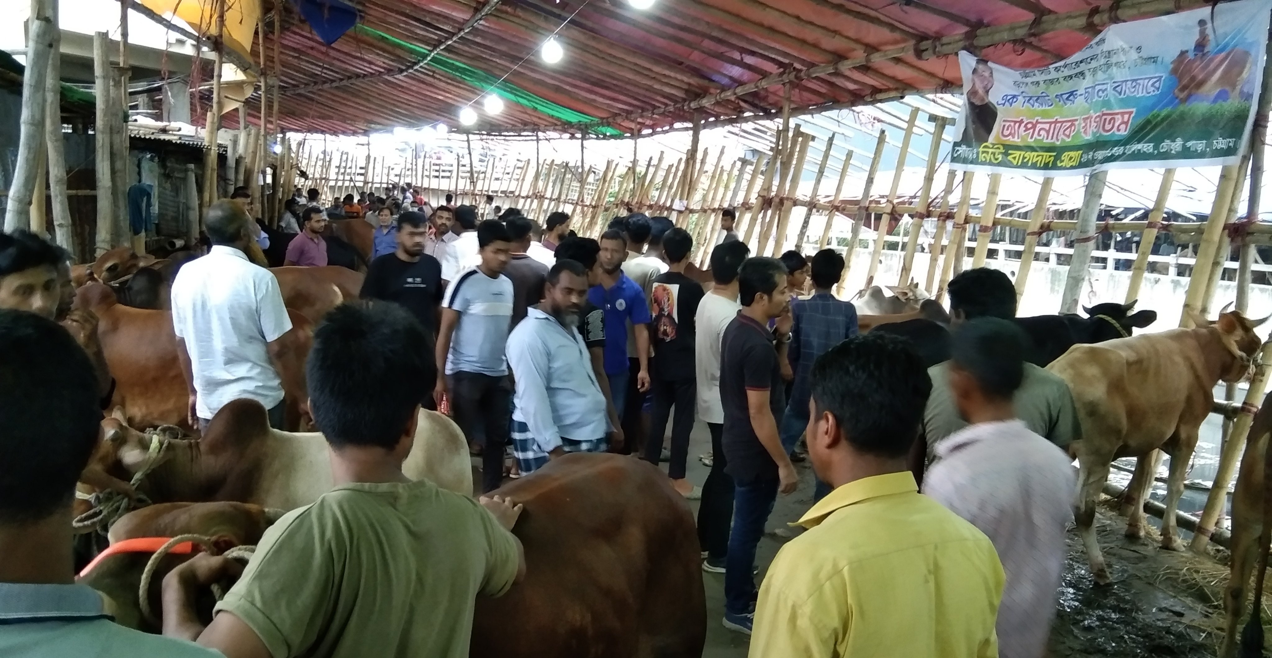 চট্টগ্রামের জমে উঠেছে পশুর হাট