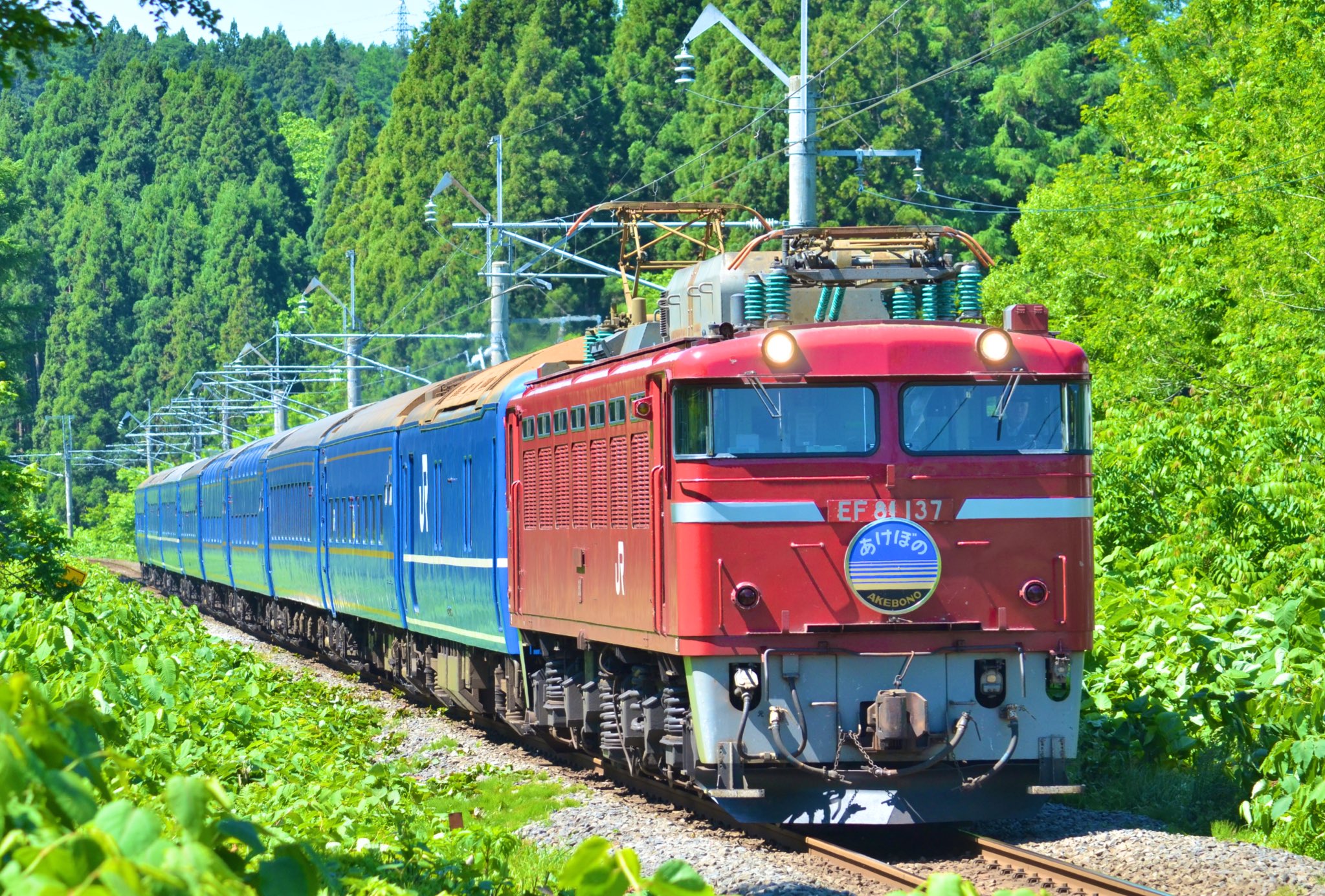 急行はまなす　小人用　使用不可 急行はまなす - Search / X