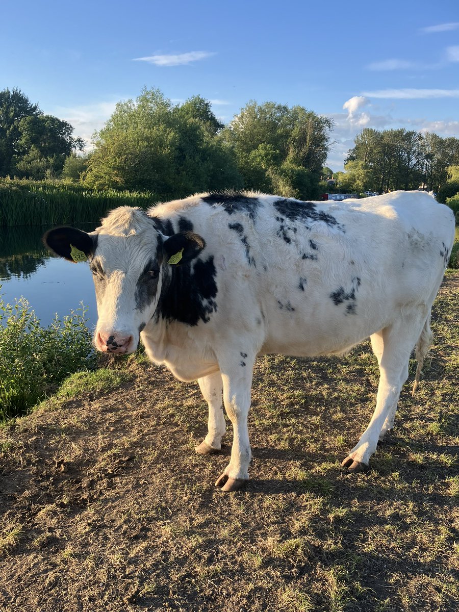 Sandra Dennis tweet media