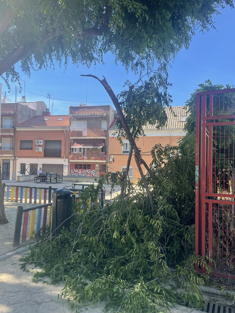 sikiliki's tweet photo. @DanosTiempo @Lineamadrid @JMDHortaleza @davidperez @Lineamadrid @MADRID @JMDHortaleza estaría mejor dedicar más esfuerzos a conservar el arbolado de Hortaleza y menos a dificultar los festejos populares y a poner trabas al movimiento asociativo que trabaja día a día por los barrios. https://t.co/DRznd9L2om